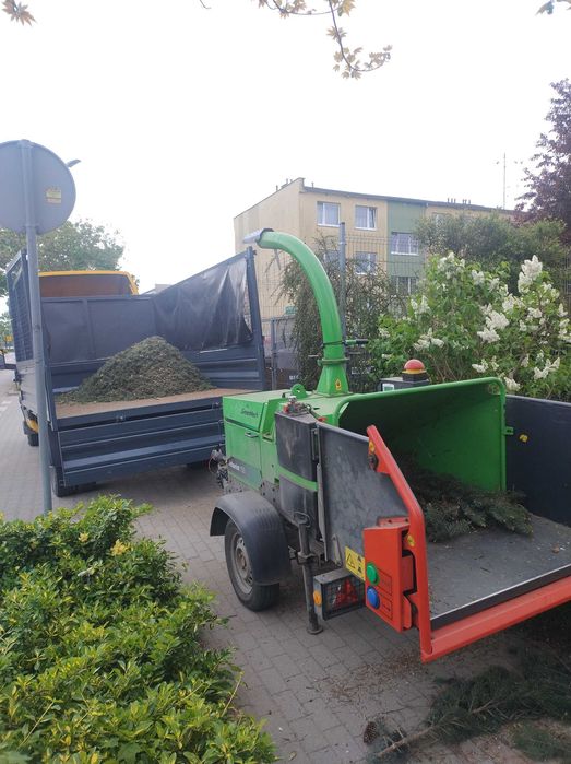 Wycinka Drzew z Wywozem Gałęzi