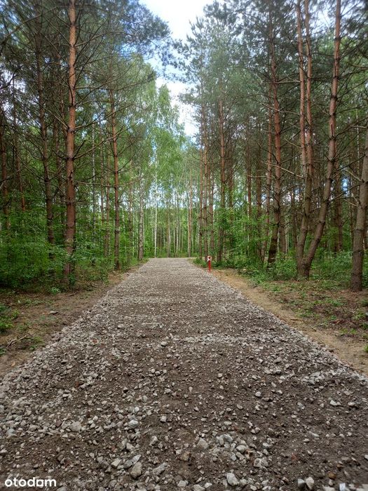 Działka budowlana w lesie - MPZP, wodociąg, prąd, światłowód, drogi