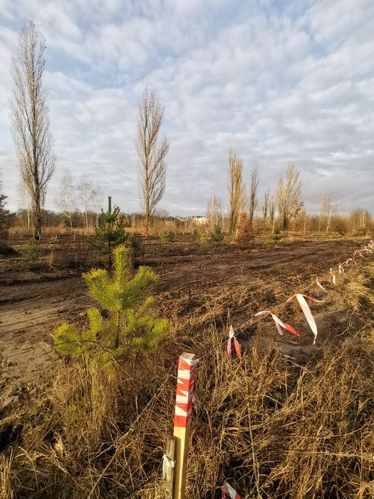 Ділянка 10 сот під будівництво 32000$ Білогородка