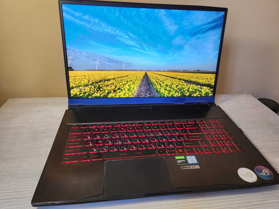 Ігровий 17.3" MSI GF75 Thin | i5-8300H | GeForce GTX 1050 Ti Max-Q | 16GB RAM | SSD 256+HDD 500