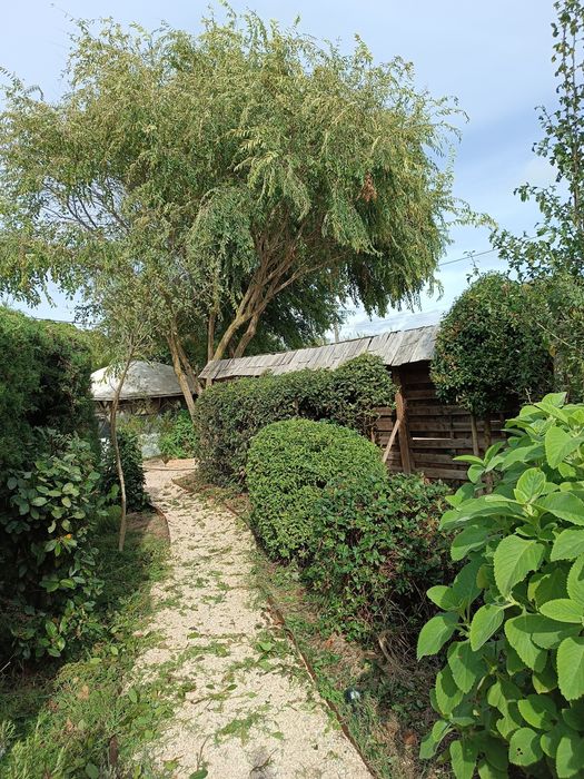 Jardineiro particular para cuidar do seu espaço