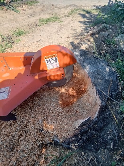 Frezarka wynajem karczowanie usługi frezowania pni