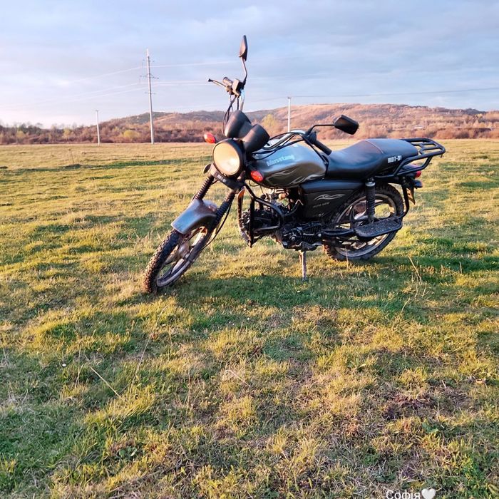 Мустанг альфа 125