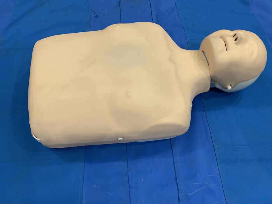 Оренда манекена Little Anne для СЛР