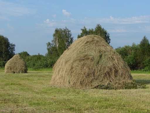 ПРОДАМ Сіно Лугове