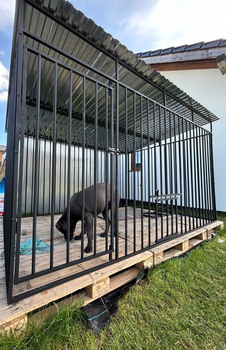 Kojec Klatka dla psa 3x2 Producent