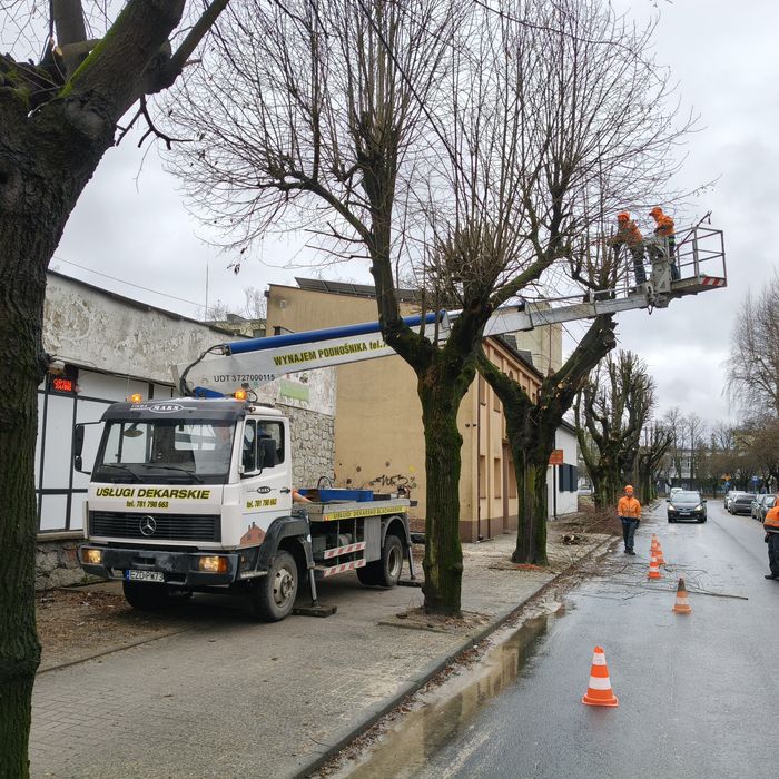 Wycinka przycinka drzew rebakowanie gałęzi wynajem podnośnik koszowy