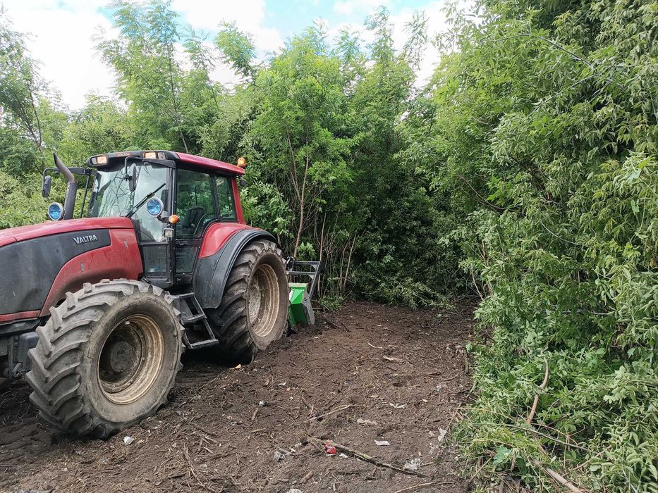 WYCINKA DRZEW Czyszczenie działki MULCZER LEŚNY karczowanie