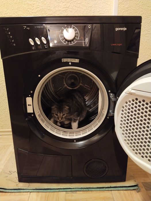 Сушильна машина Гореніє