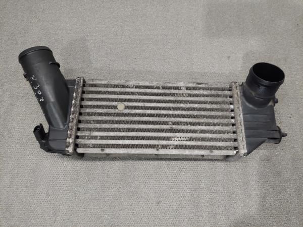 Radiador do intercooler PEUGEOT 307 (3A/C)