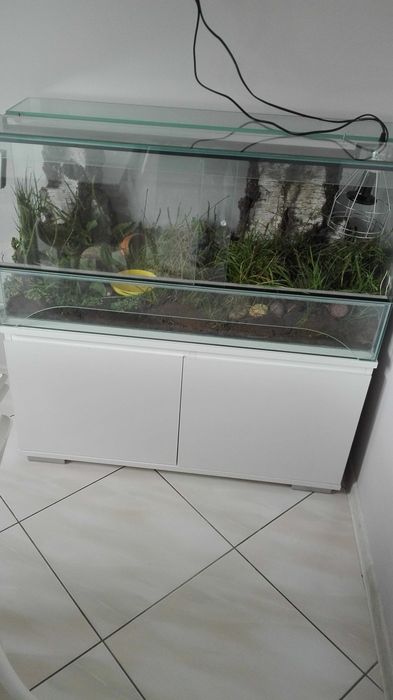 Duże terrarium z szafką i nowym promiennikiem !