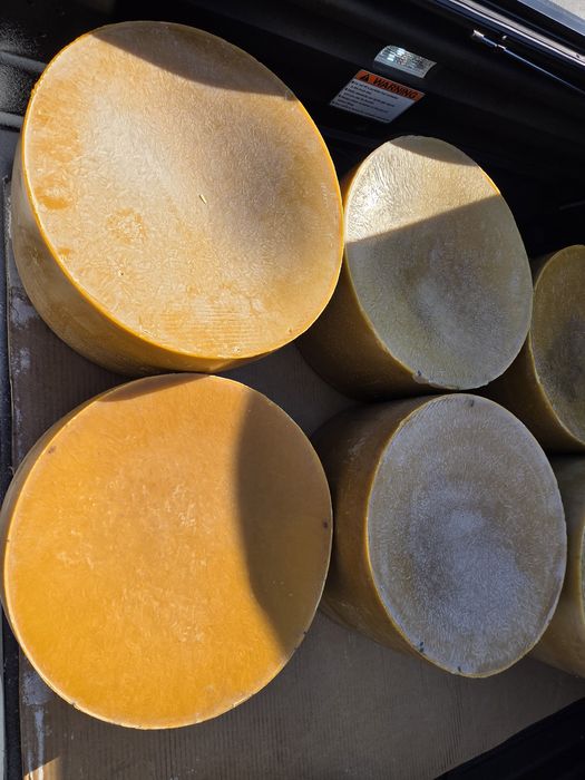 Продам віск бджолиний