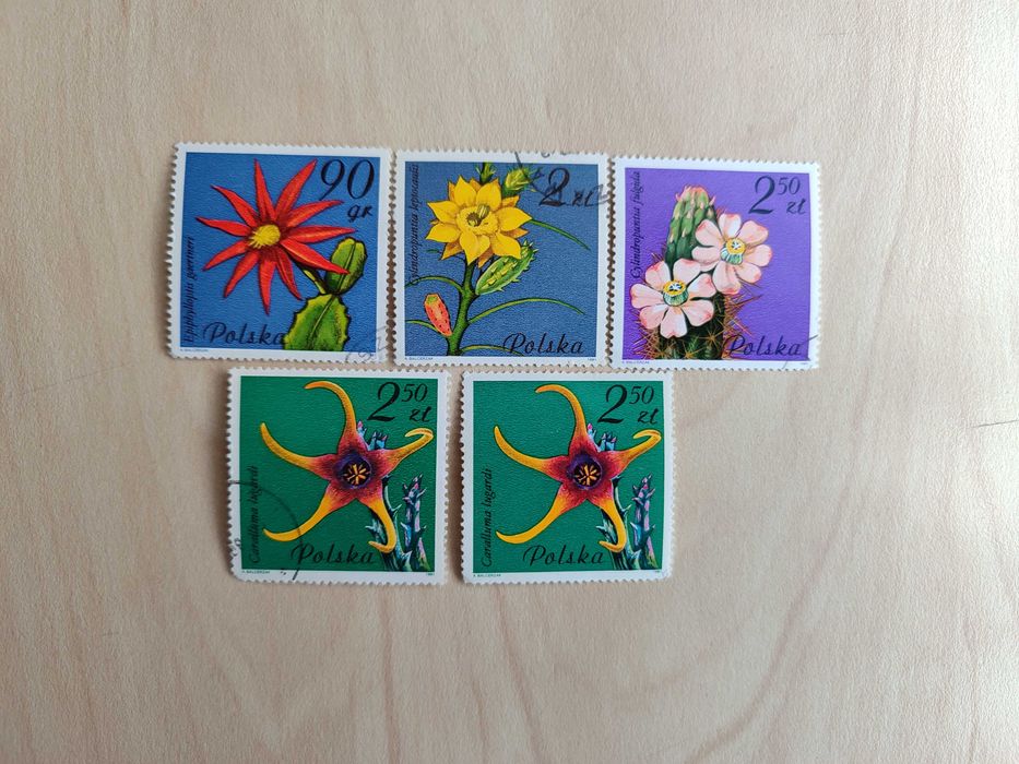 Znaczki polskie 1981: Kwiaty sukulentów – kaktusy, PRL, vintage