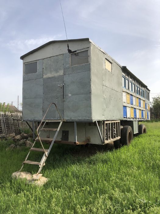 Бджолопавільйон з документами