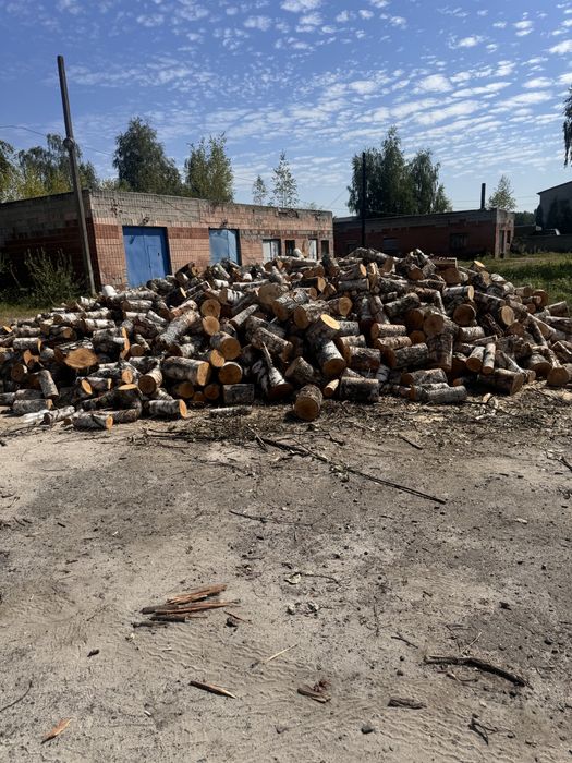 Дрова різних порід,обрізки