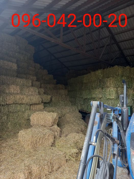 сіно    ЗЛАКОВЕ,  лугове,  польове