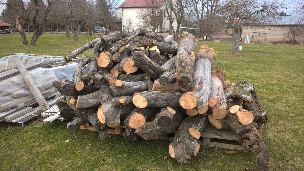 drewno jabłoń okrągłe