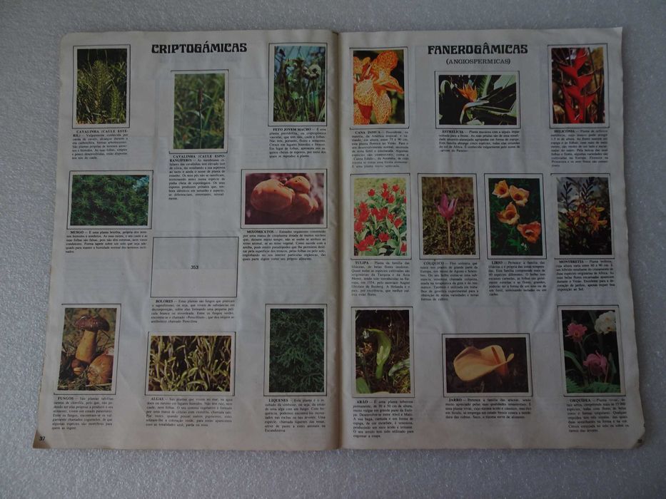 Caderneta de cromos Colecção da Natureza (faltam 49 cromos)