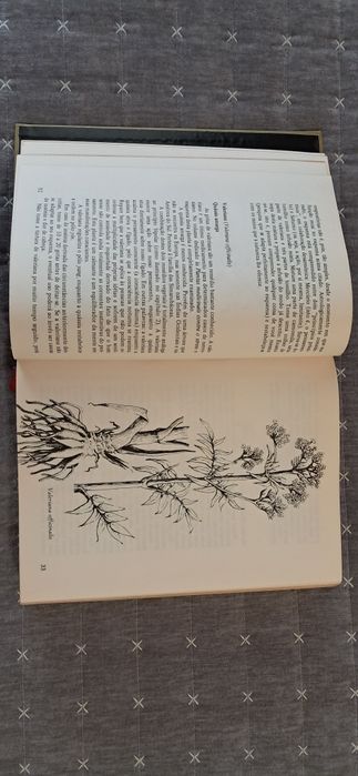 Livro de ouro da saúde: plantas medicinais