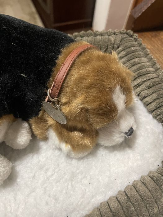 Brinquedo cao de peluche