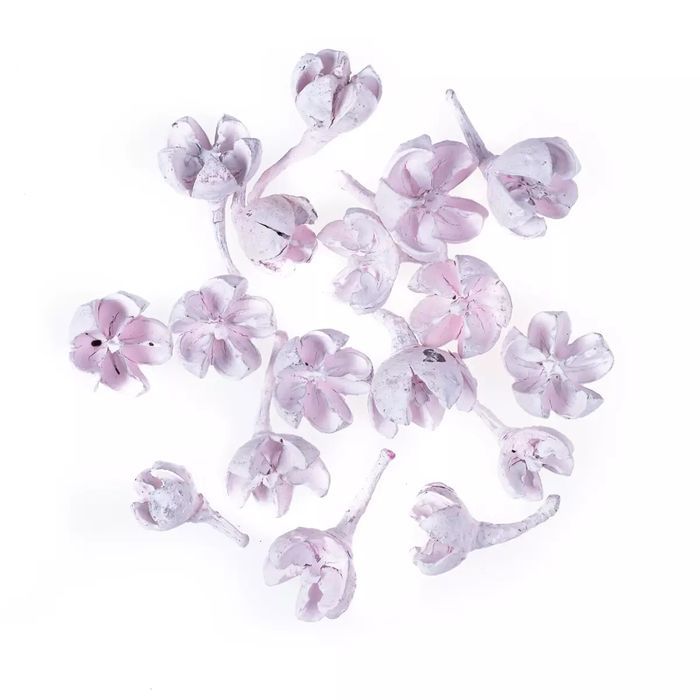 Suszone owoce różowe 10g