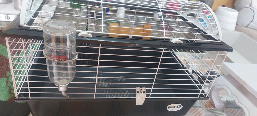 Gaiola para roedores completa e com acessórios