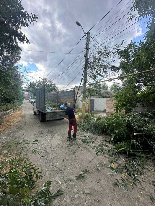 Уборка участка,обрезка деревьев, омоложение,покос,вспашка