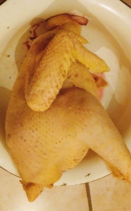 Тушка, м'ясо, молодий півень