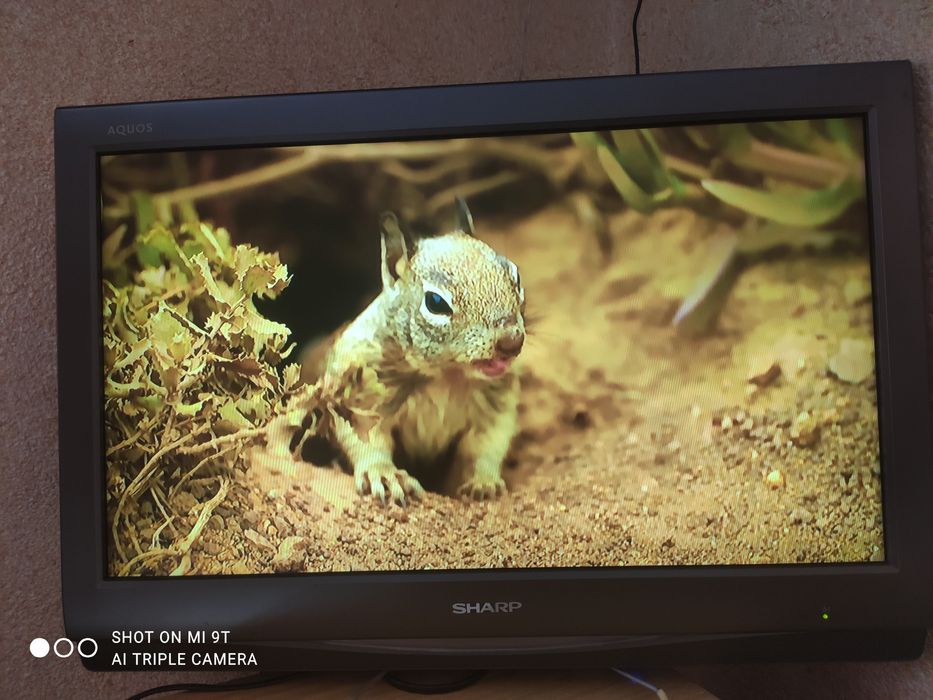 Телевизор SHARP LC 26D44E