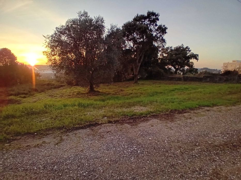 Terreno para construção de moradia em Oliveira do Bairro — Oliveira do Bairro, Aveiro
