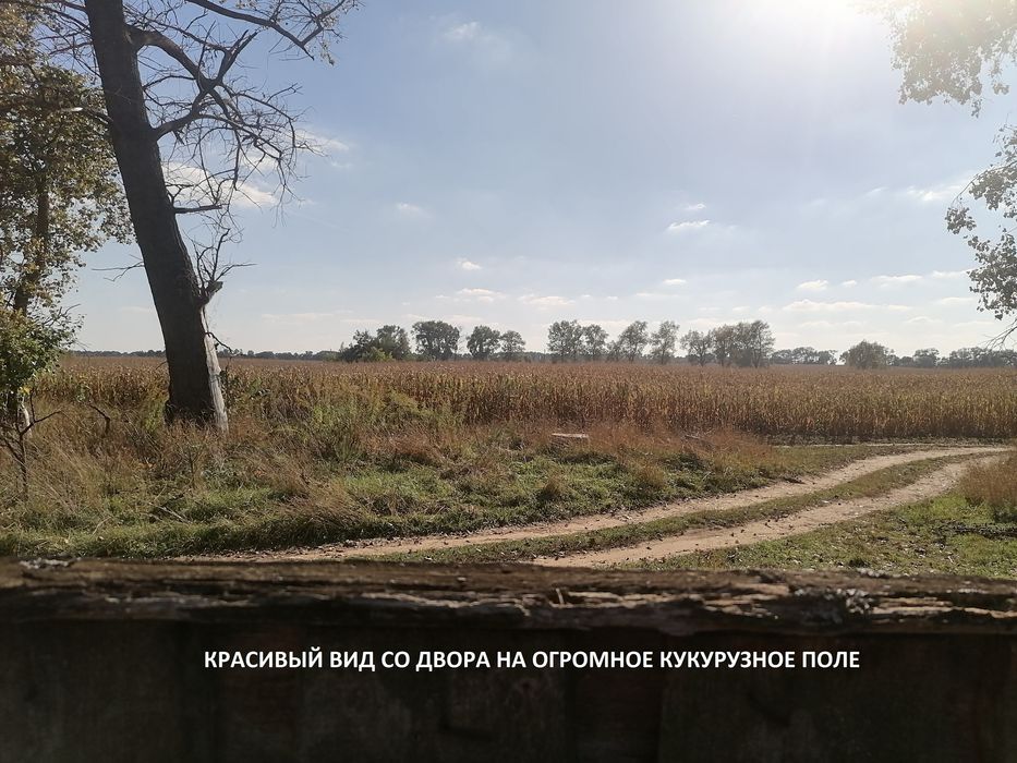 Продам дом с участком, 2 дома на участке