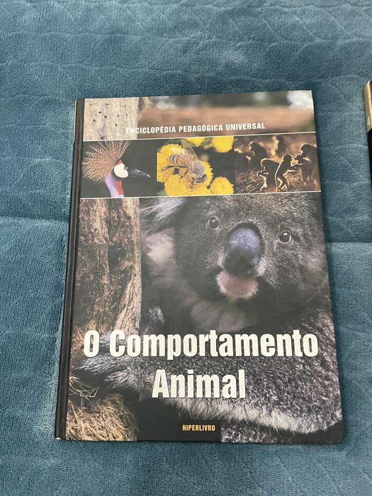 Enciclopédia Pedagógicas Universal