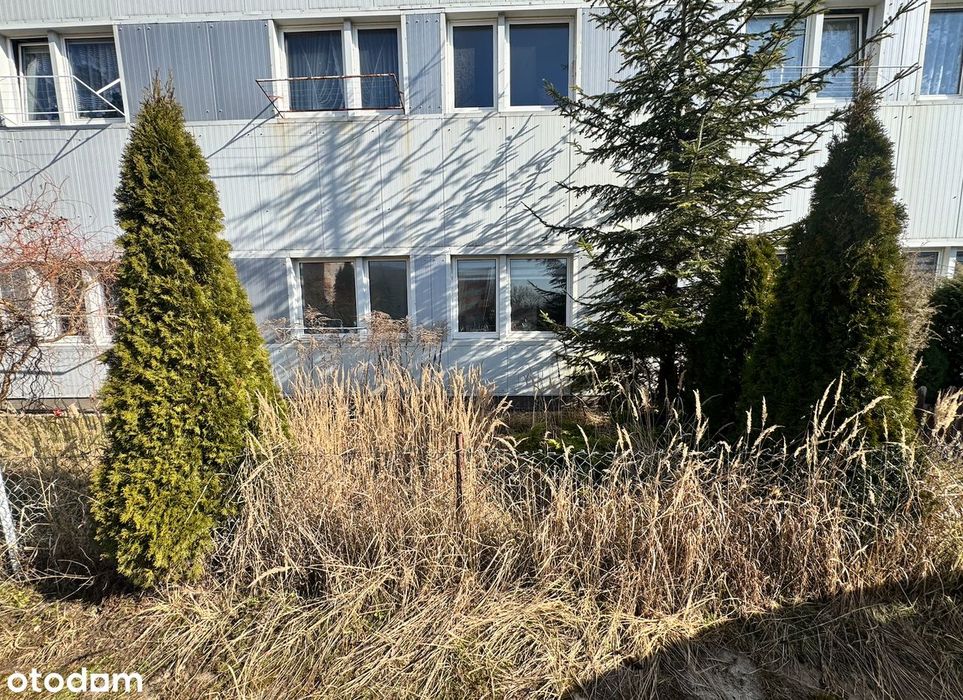 Mieszkanie z ogródkiem w Dąbrowie Górniczej - Més