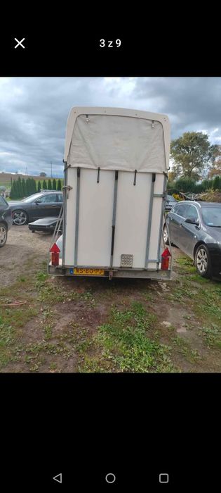 Przyczepa konna, 1,5 konia Weijer