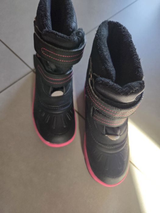 Śniegowce dziewczęce, r. 31