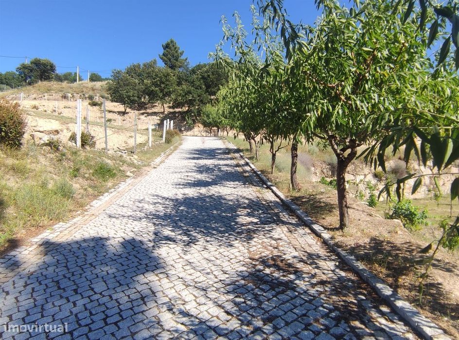 Quinta  Venda em Vela,Guarda
