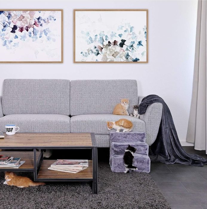 Lionto Dibea HT00186 Schody dla Kota , małego psa Jasnoszare