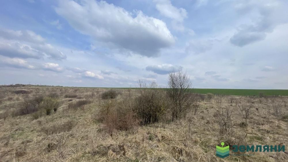 Продається ділянка 100 сот в с. Підлужжя (5)