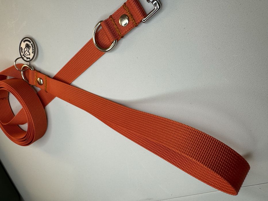 Smycz dla psa 3 metry