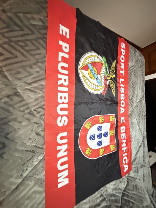 Bandeira benfica
