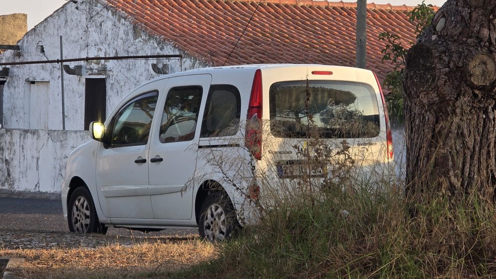 Renault Kangoo 5L