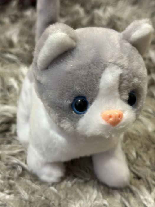 Нова Інтерактивна іграшка Chi Chi Love Кошеня (5893453)