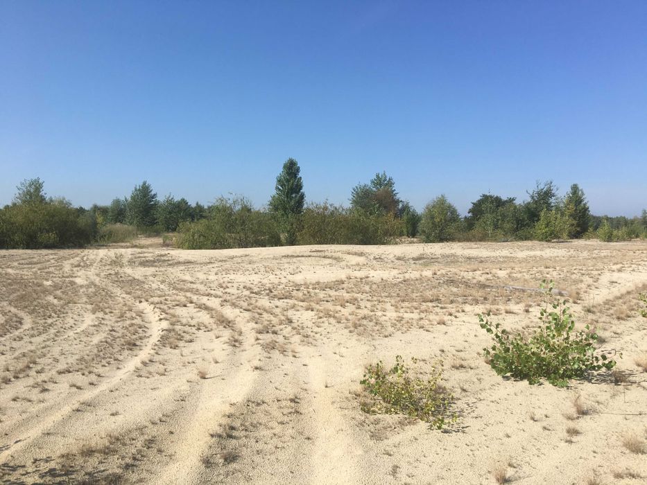 Продаж землі, площею 7,7505 га, Київська обл.