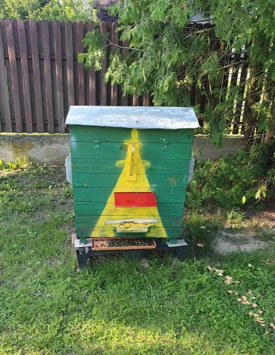 Ul warszawski, poszerzany. Ul z pszczołami.