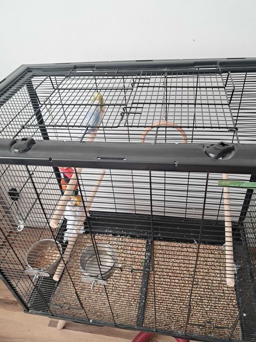 Klatka plus papuszki