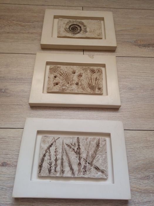 Komplet obrazków z kolekcji