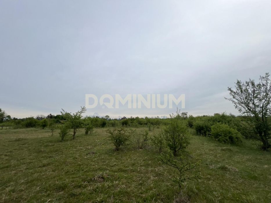 Інвестиційна пропозиція. Земля. с. Модорош. Закарпаття
