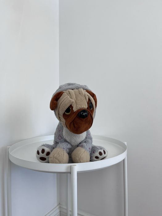 Pluszowy piesek w bluzie