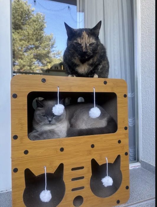 Когтеточка кошачий домик игровая 2 этажа