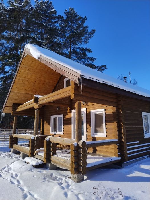 Дерев'яний будинок в лісі